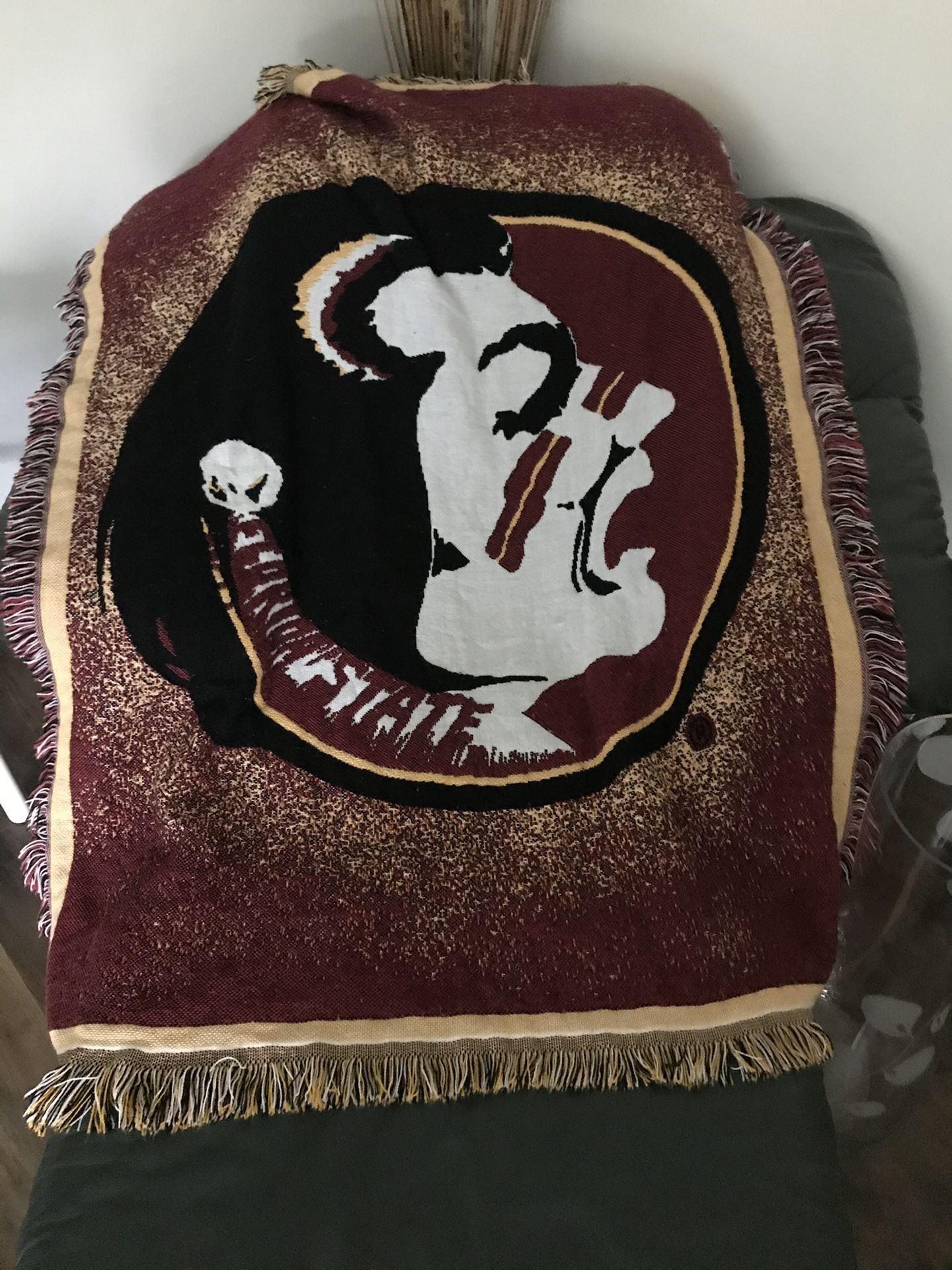 Florida state blanket/throw.