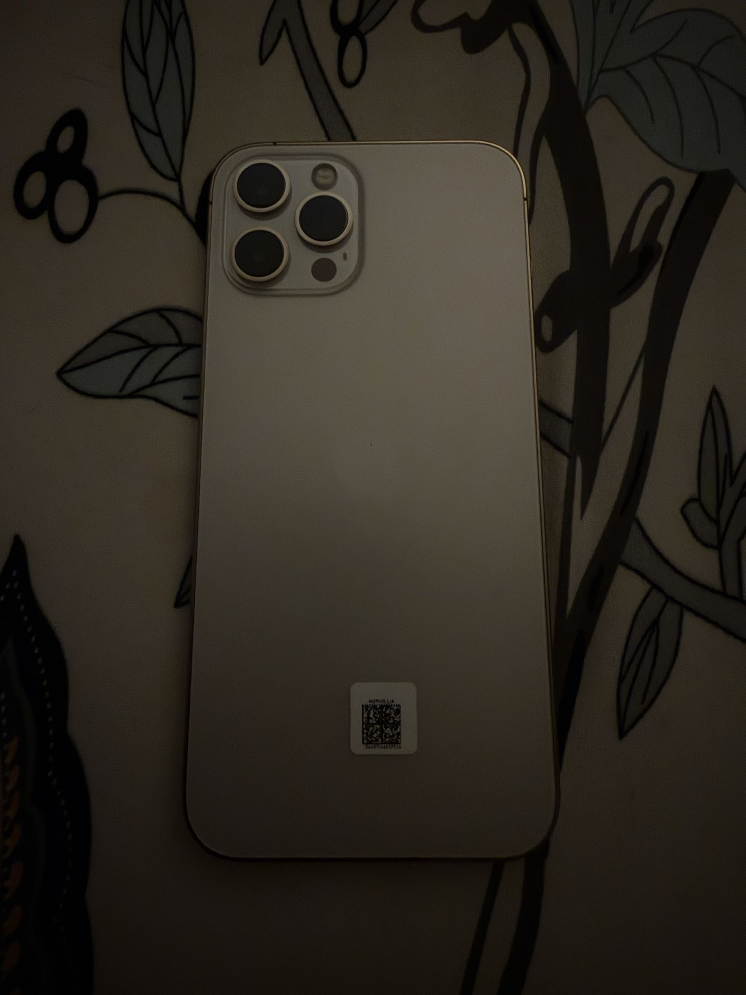 Unlocked iPhone 12 Pro Max 256Gb