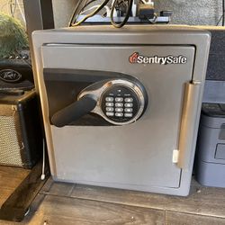 SentrySafe Small Security Safe