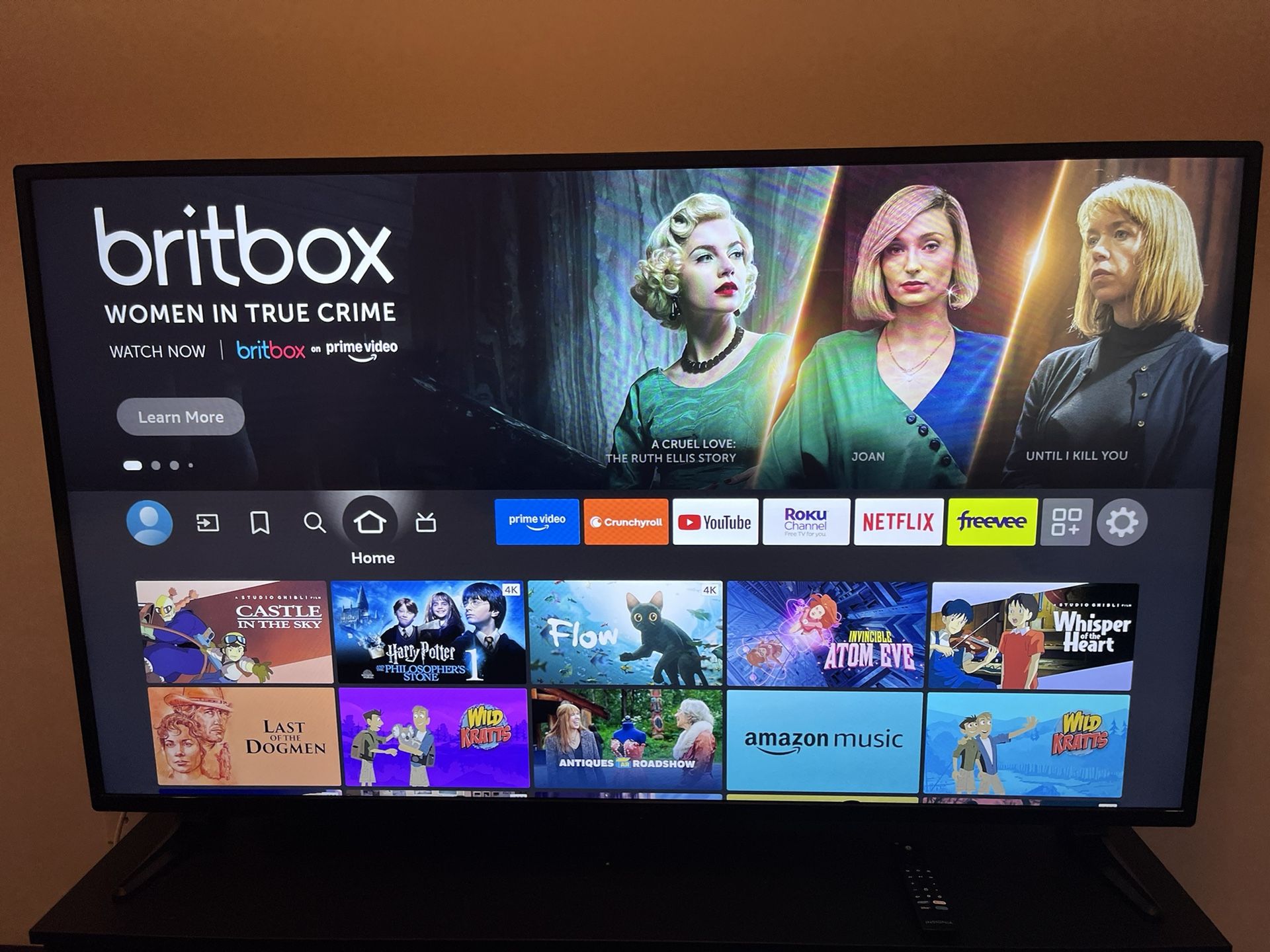 insignia TV ~40 Inches