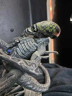 Predator toy