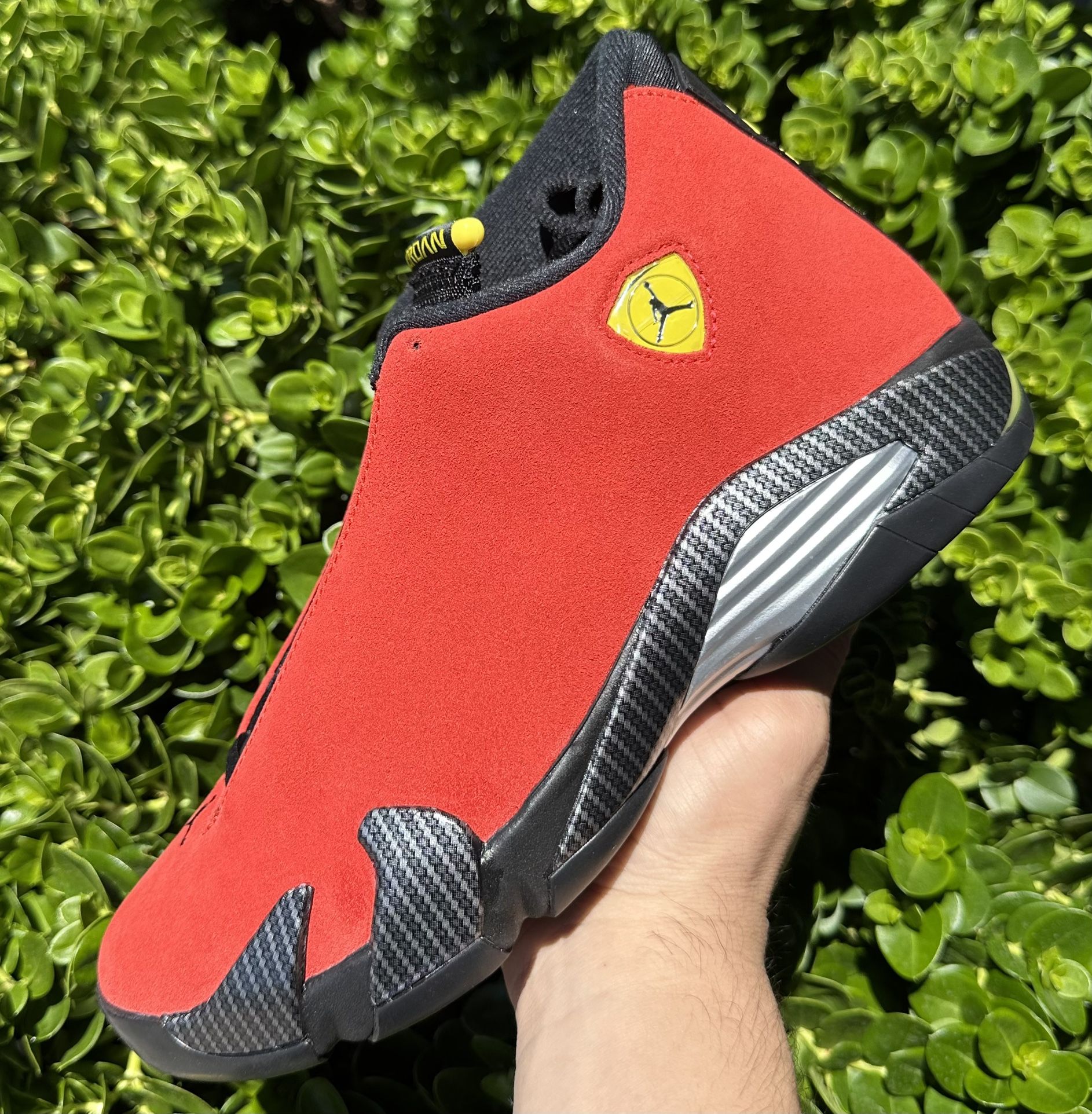 Jordan Retro 14 Ferrari