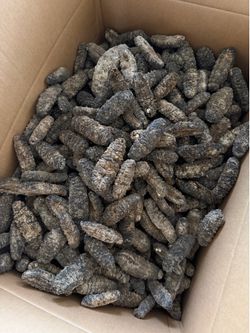 Dried Sea Cucumber
