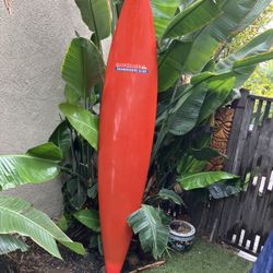 Great Collectable Surfboard 