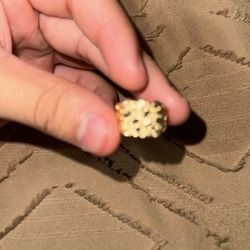 Gold 2.9G 10k Nugget Ring