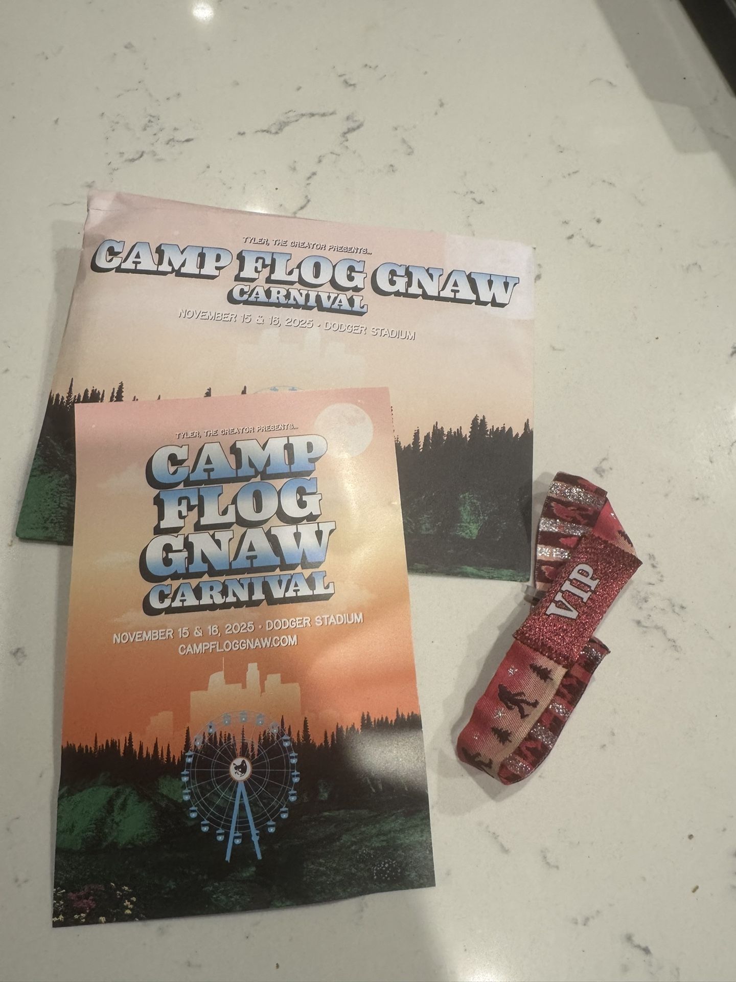Camp Flog Gnaw Ticket