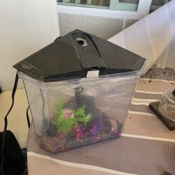 Small Fish Tank