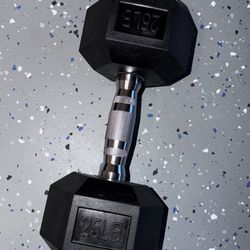 $50 One 25 lbs Dumbbell 