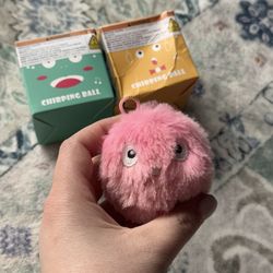 Cat Toy 