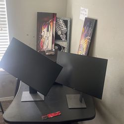 2 Dual Computer Monitors 