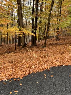 Building lot Wallenpaulpac Lake Estate 18436