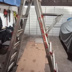 Little Giant Ladder