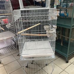 Parrot Cages 