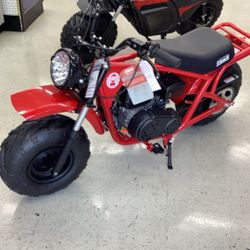 Mini Bike