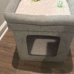 Cats Dog  And Free Water 💦 Fountain