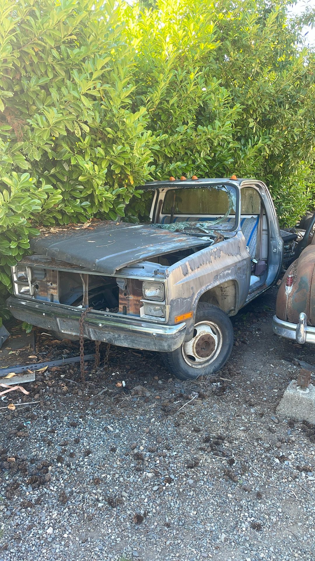 1983 GM/Chevy Cab And Chassis