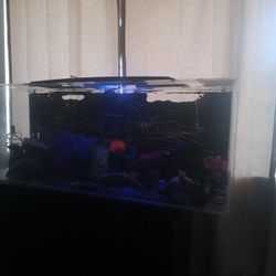 50 + Gallons Aquarium Acrylic Tank 