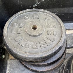 25 lbs weight metal plates / Adjustable dumbbells