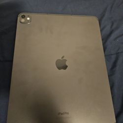 IPAD PRO M4 LTE 13IN