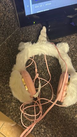 Unicorn headphones
