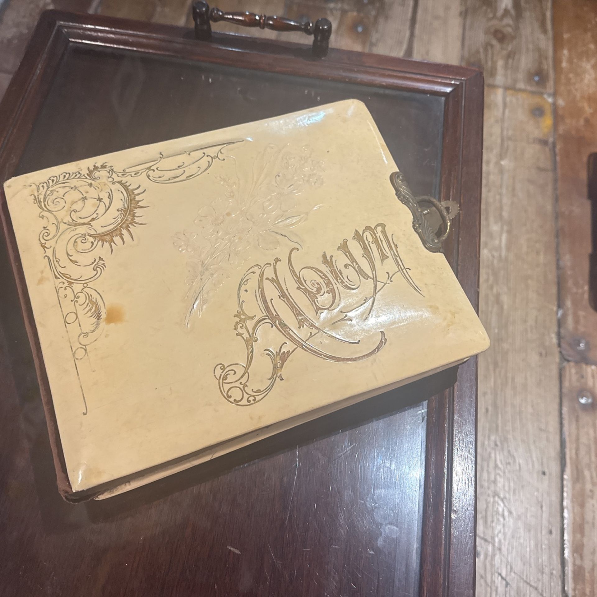 Vintage Celluloid Photo Album