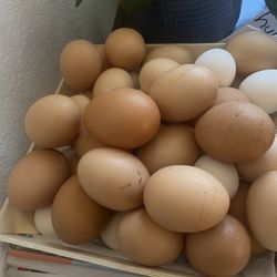 Oragnic Chicken Eggs 