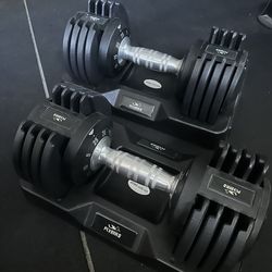 Flybird Adjustable Dumbbells
