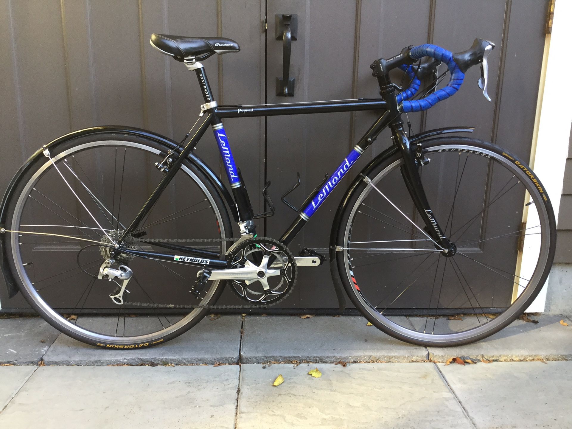 Lemond Poprad - Gravel Grinder, Commuter, Cyclecross, Touring Bike all in one