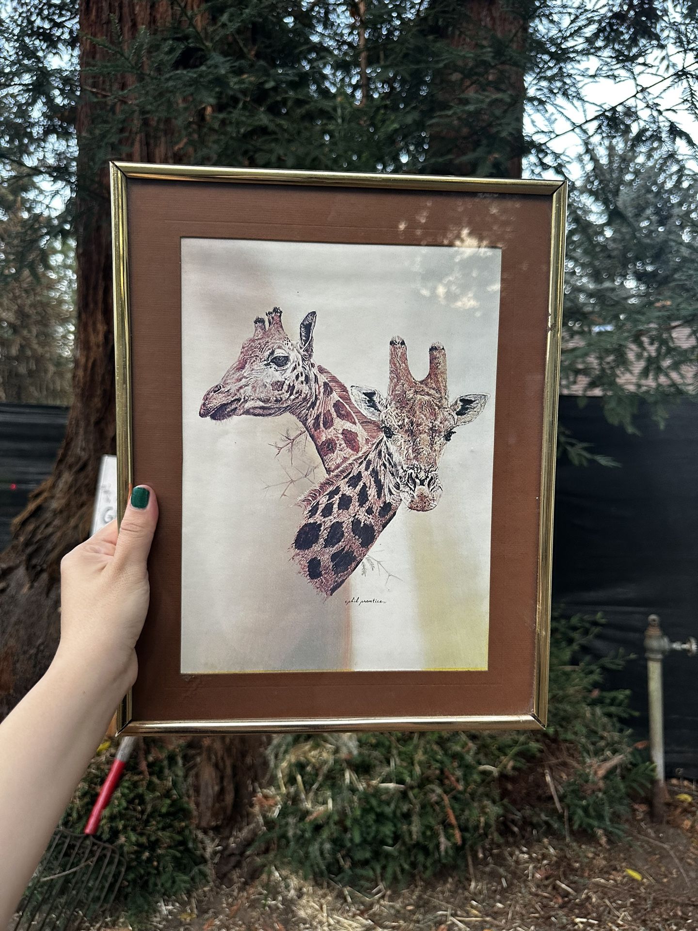 Vintage Giraffe Wall Art