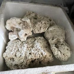 Dry Clean Liverock For Your Saltwater Quarantine Or Fish Only Tank