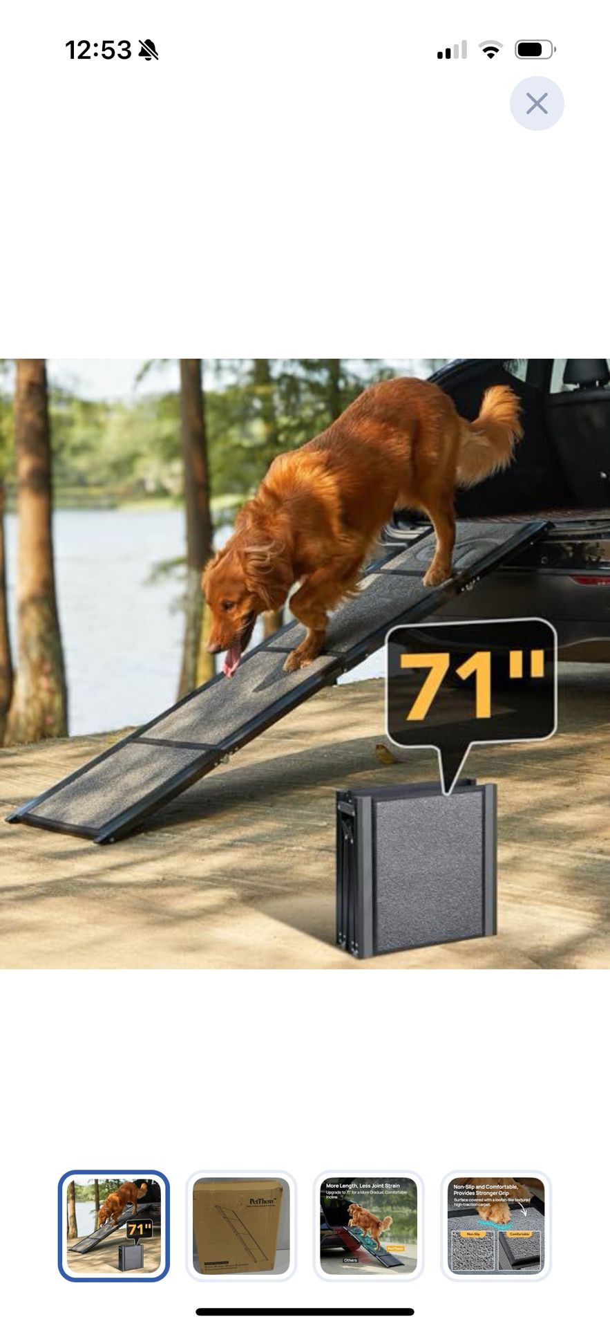 Dog Ramp For Car