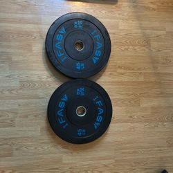 45LB Weights