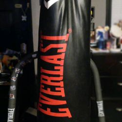 Everlast Punching Bag With Stand 