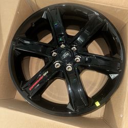 Ford Performance 2009-2023 F150/Raptor 22x9.5