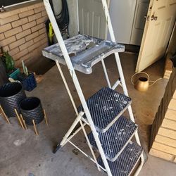 Ladder With Tray