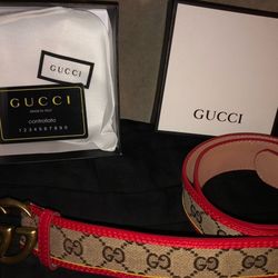 GG Belt Gucci Supreme Belt