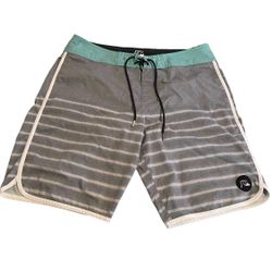 Quicksilver Shorts Men 33 Multicolor Swim Trunks Board Bathing Suit Swimwear