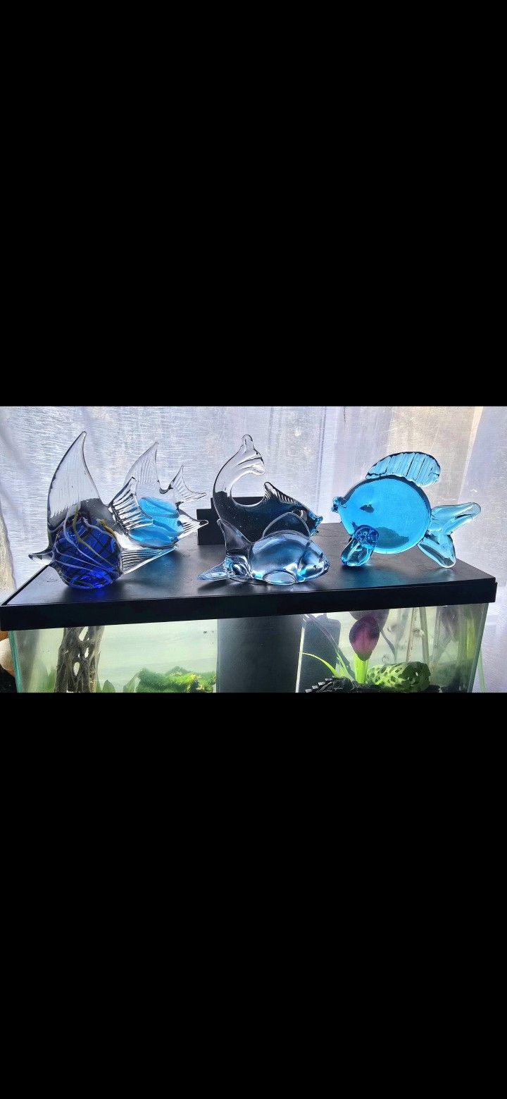 Tropical fish art glass collection