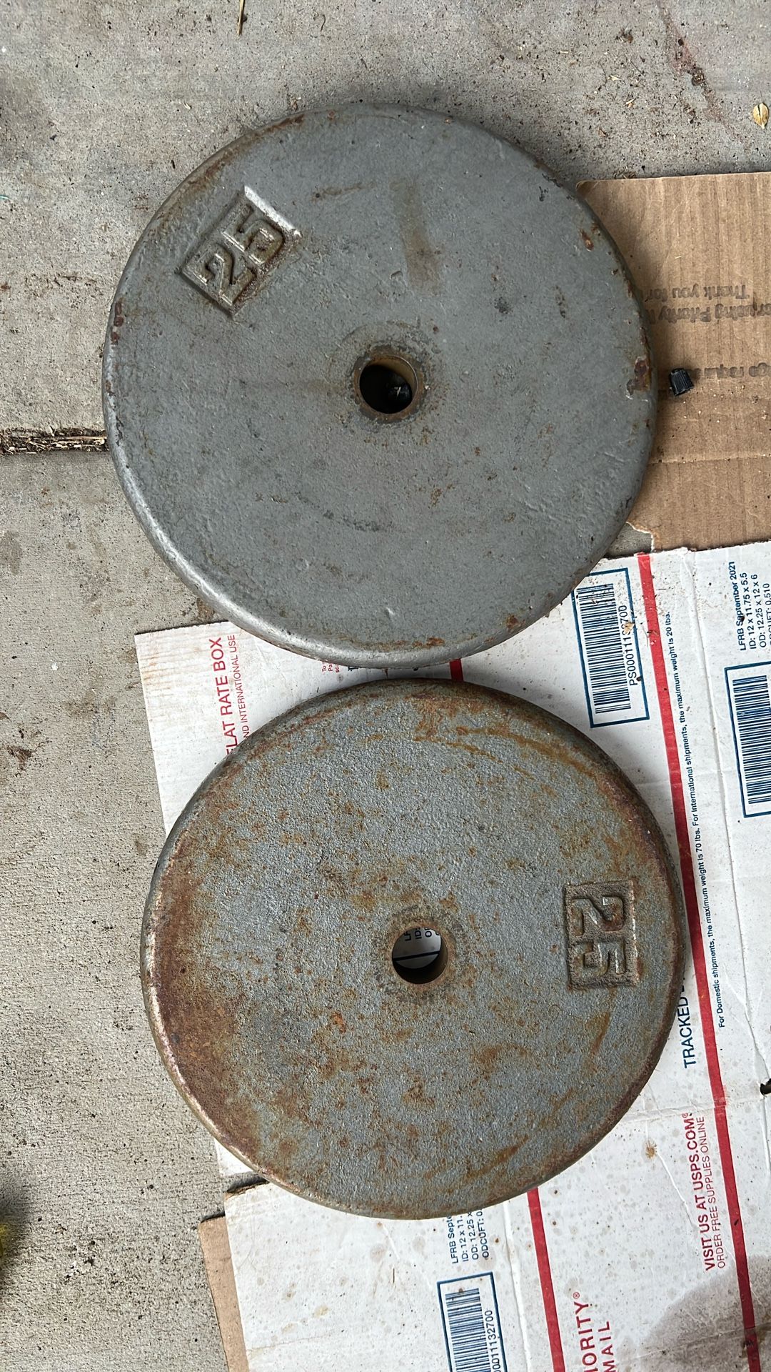 25lb Weight Plates