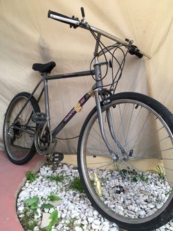 Cruiser bike (silver)