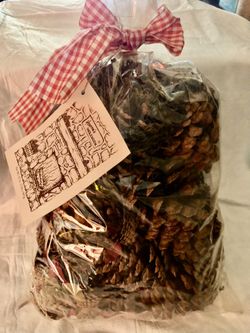 NIP HANNAS INGLENOOK CONES (Can Be Thrown Right in FIRE for A Cinnamon Burst)