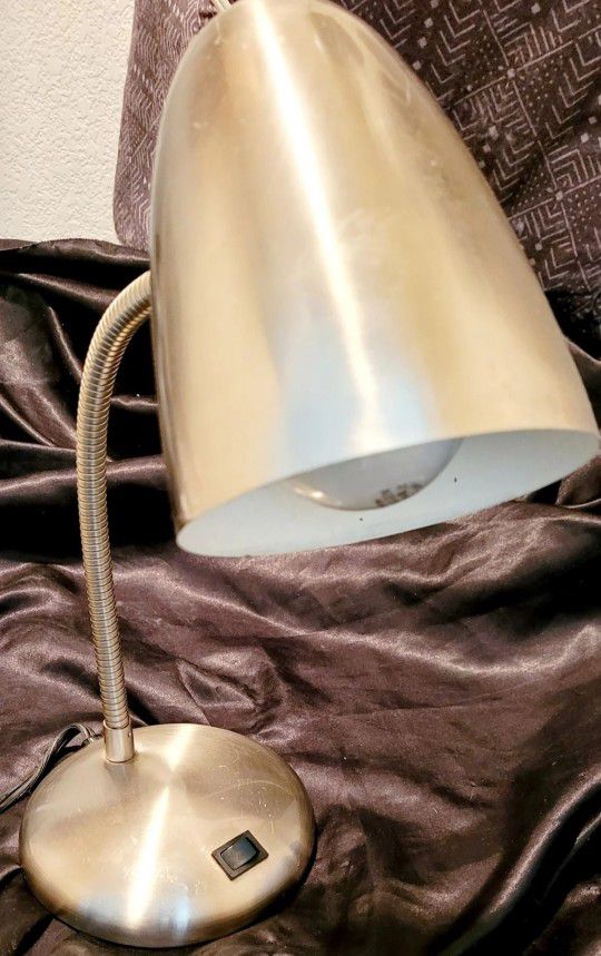 Stainless Steel Adjustable Desk Lamp