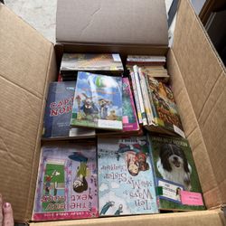5 Boxes Of Novels 
