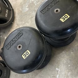 One Pair Of Ivanko Dumbbells 