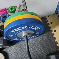 Rogue Traning Bumper Plates 