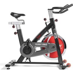 Sunny Indoor Exercise Spin Bike