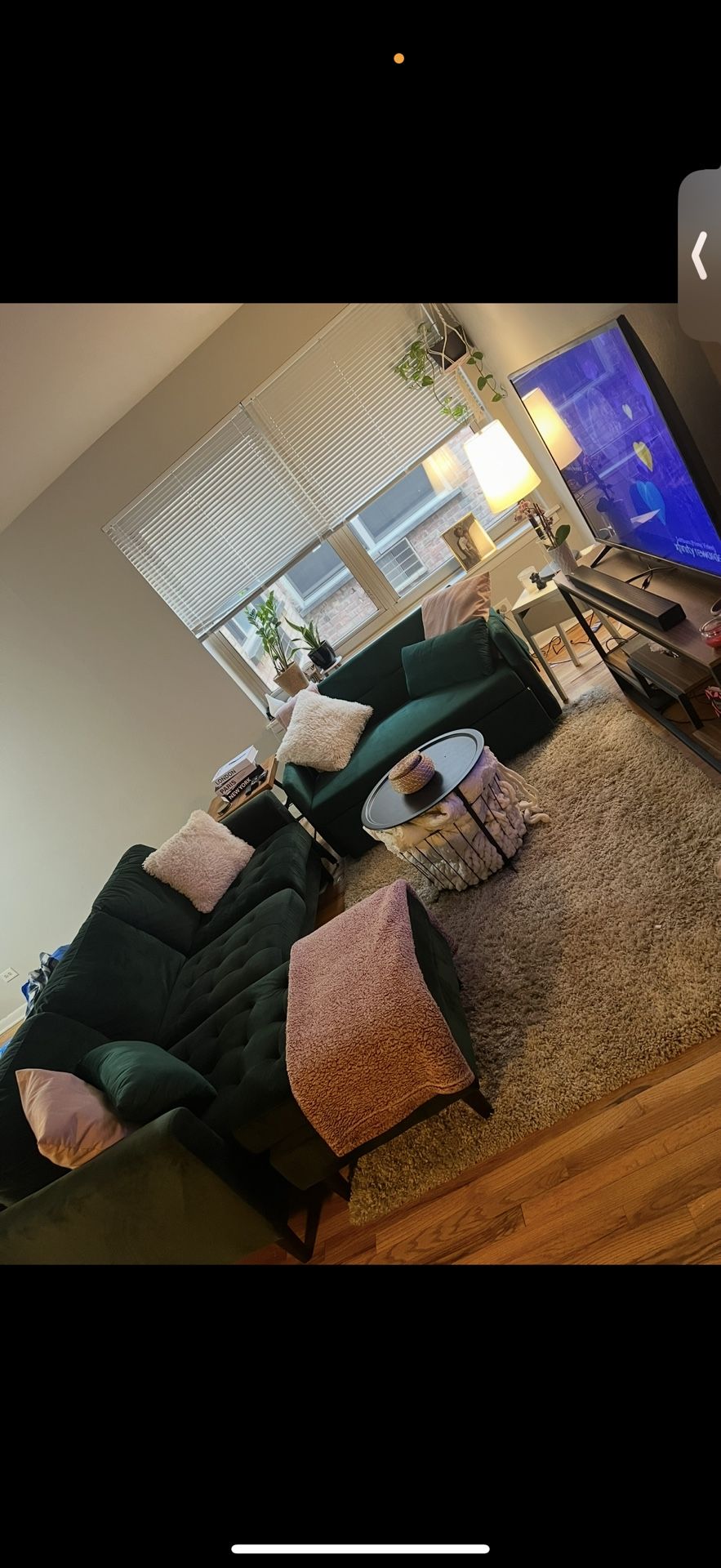 Couch And Sofa Bed For Sale $500 For Both Must Go Tomorrow