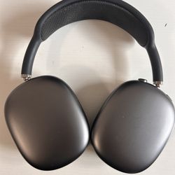 Apple Headphone 