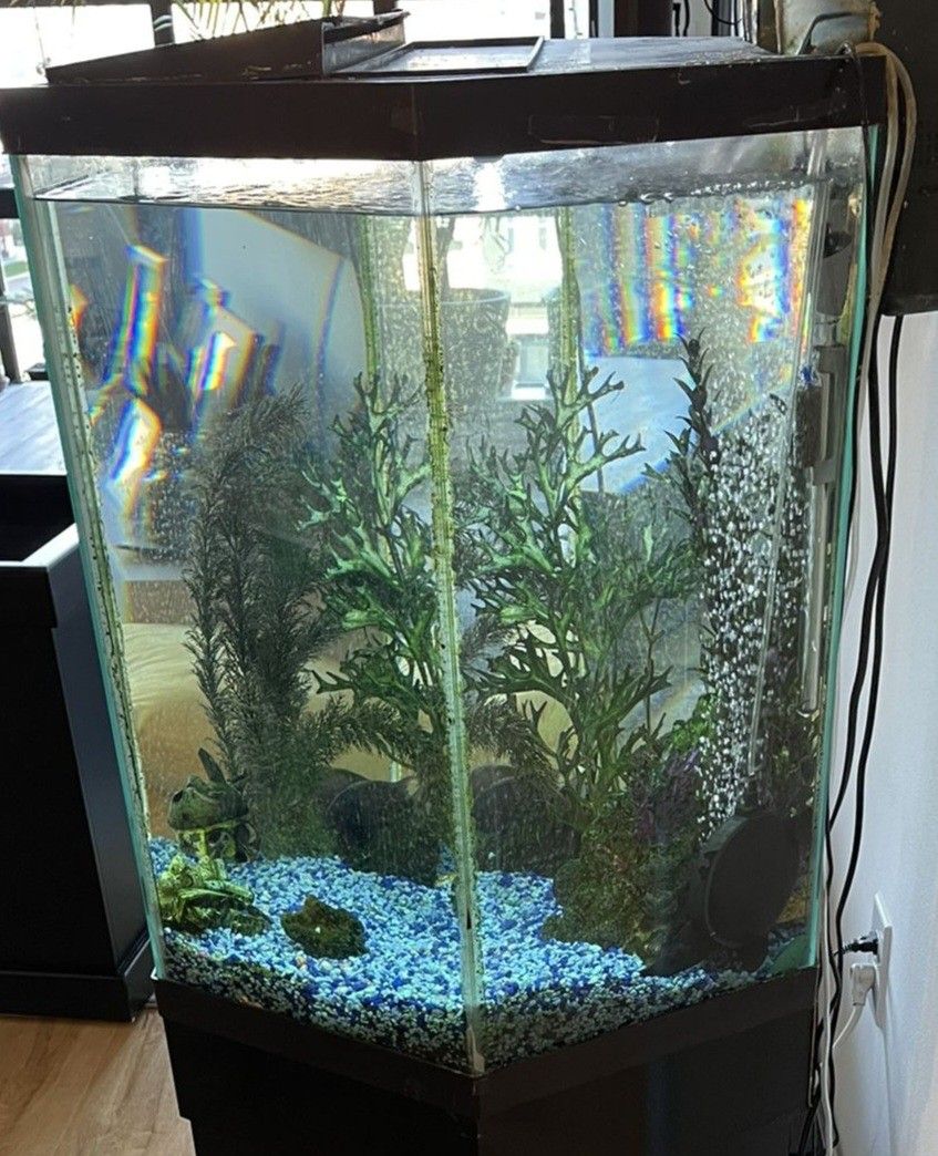 3045 Gallon Hexagon Aquarium for Sale in Midland, TX OfferUp