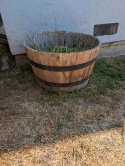 Planter pot